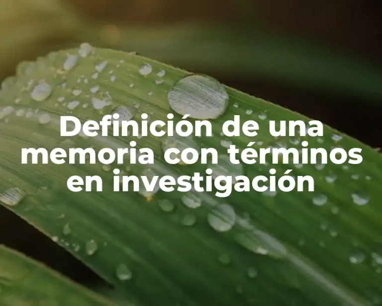Definición de una memoria con términos en investigación