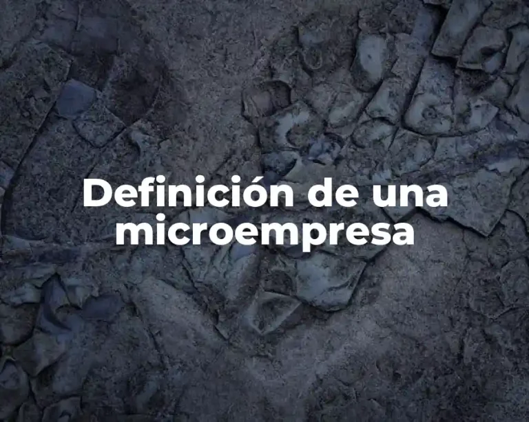 Definición de una microempresa