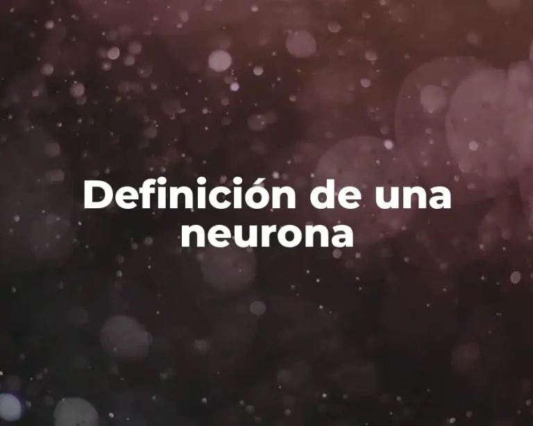 Definición de una neurona