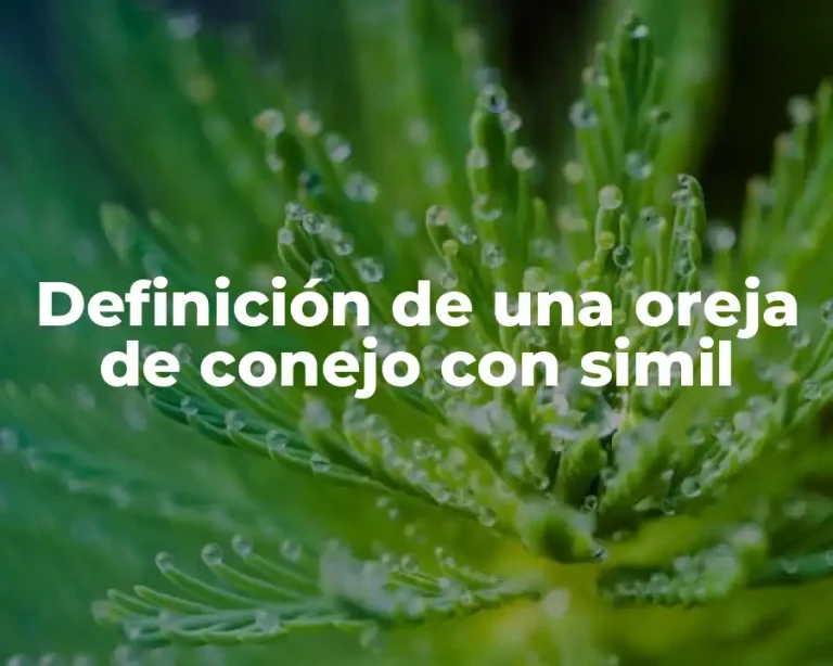 Definición de una oreja de conejo con simil