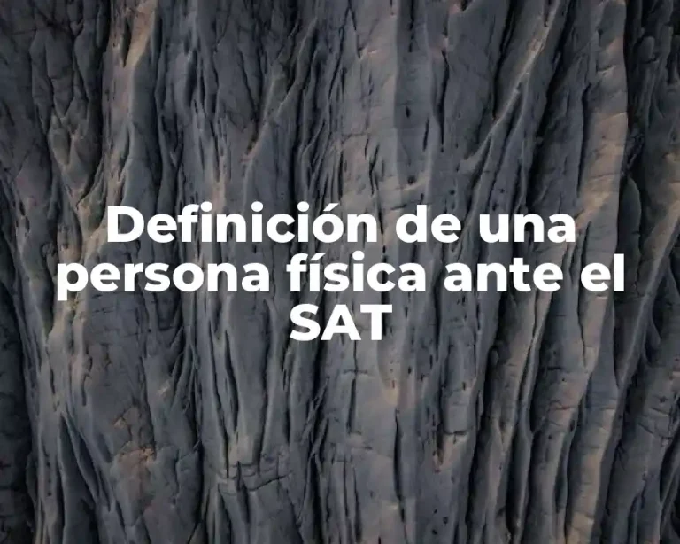 Definición de una persona física ante el SAT