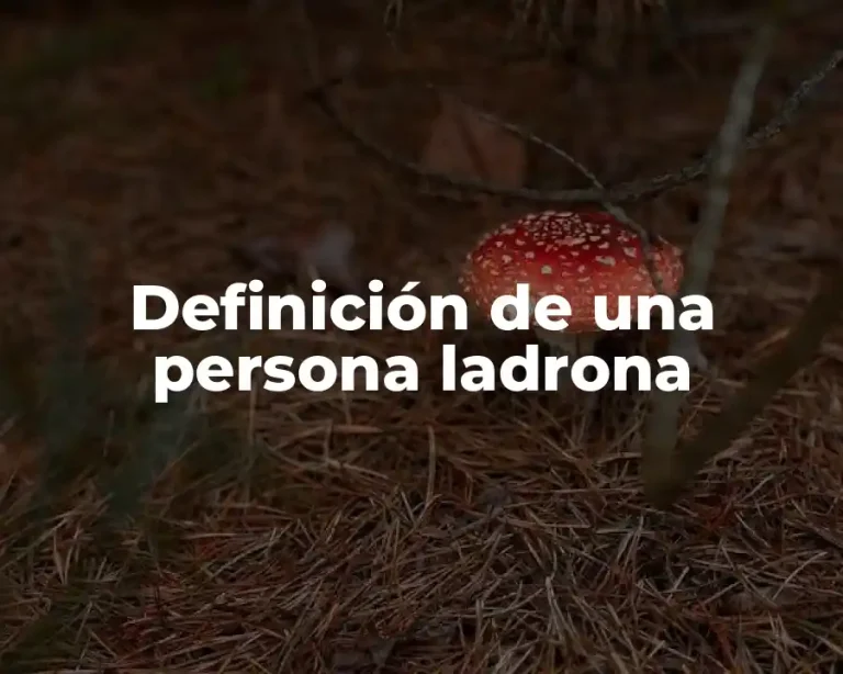Definición de una persona ladrona