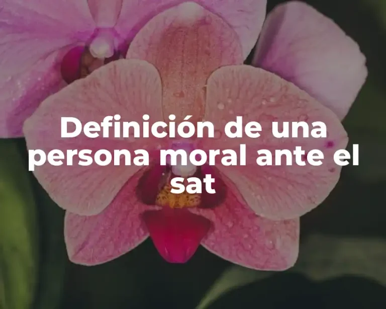 Definición de una persona moral ante el sat