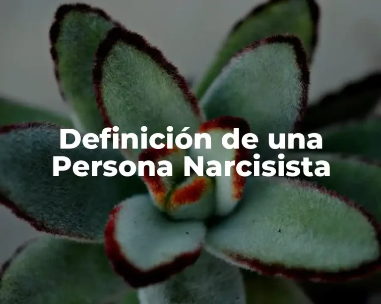 Definición de una Persona Narcisista