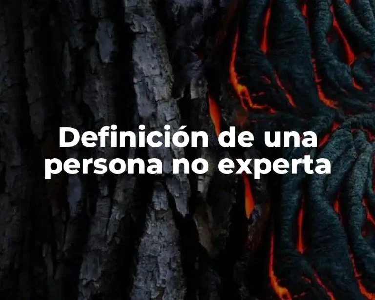 Definición de una persona no experta
