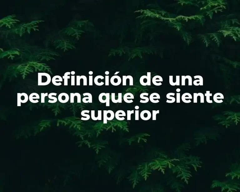 Definición de una persona que se siente superior