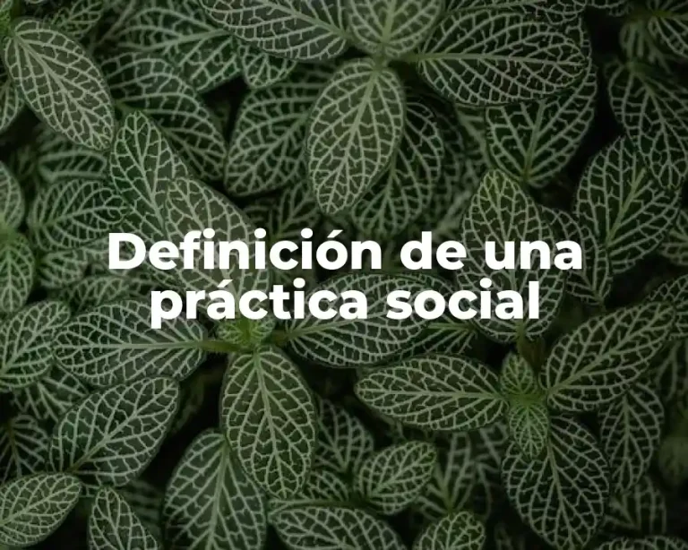 Definición de una práctica social