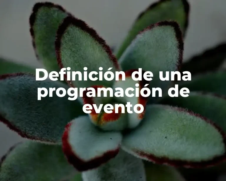Definición de una programación de evento