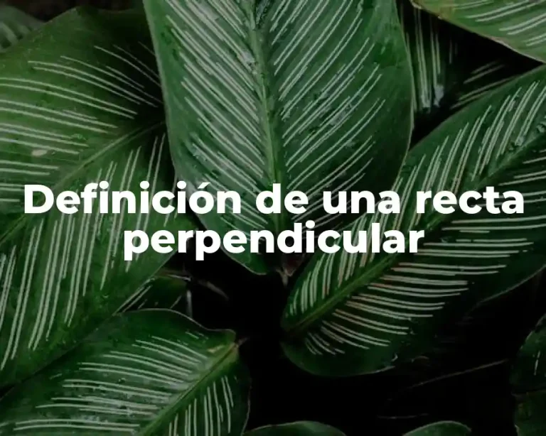 Definición de una recta perpendicular