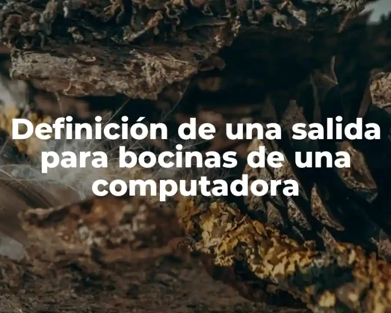 Definición de una salida para bocinas de una computadora