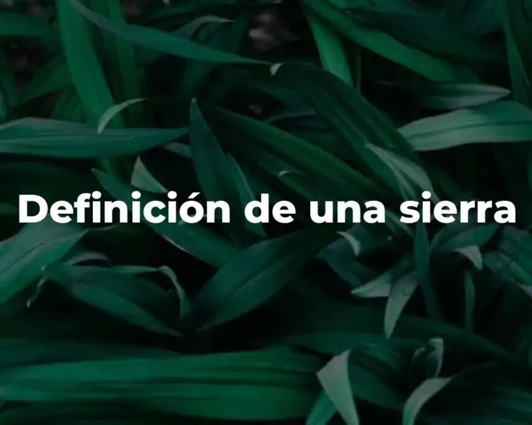 Definición de una sierra