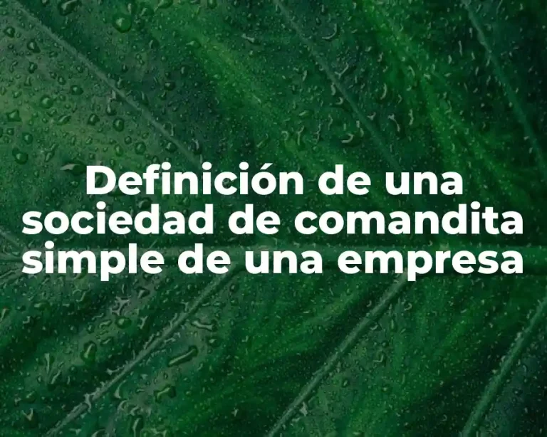 Definición de una sociedad de comandita simple de una empresa