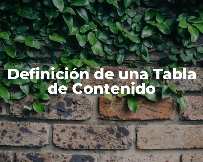 Definición de una Tabla de Contenido