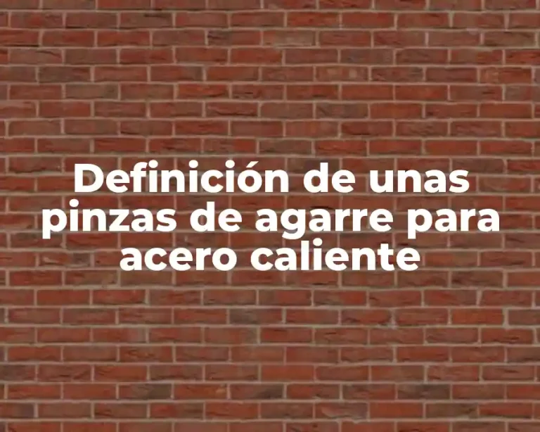 Definición de unas pinzas de agarre para acero caliente