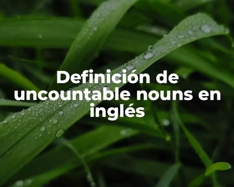 Definición de uncountable nouns en inglés