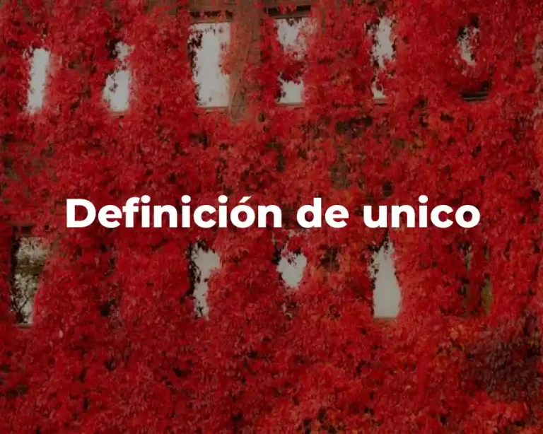 Definición de unico