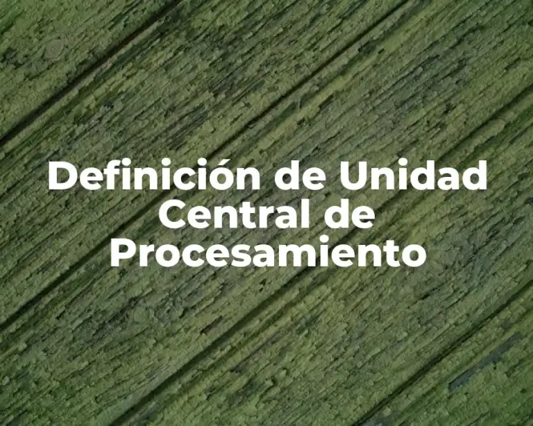 Definición de Unidad Central de Procesamiento