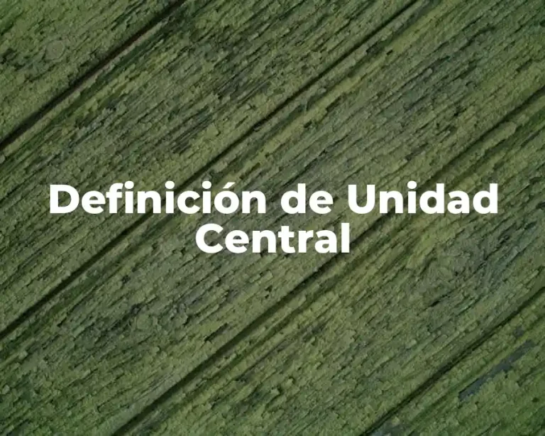 Definición de Unidad Central
