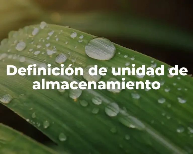 Definición de unidad de almacenamiento