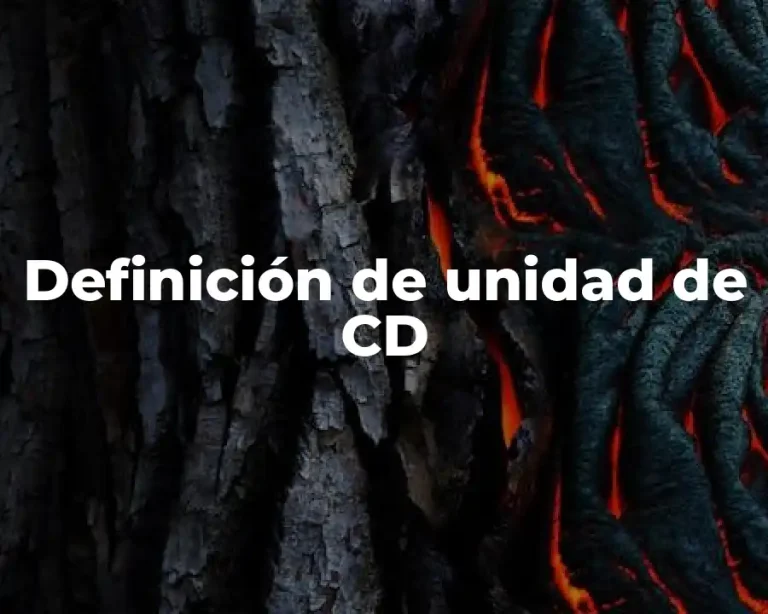 Definición de unidad de CD
