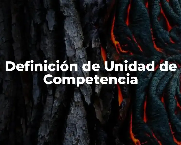 Definición de Unidad de Competencia
