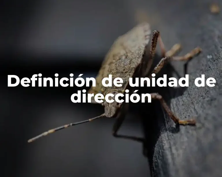 Definición de unidad de dirección