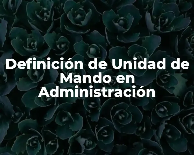 Definición de Unidad de Mando en Administración