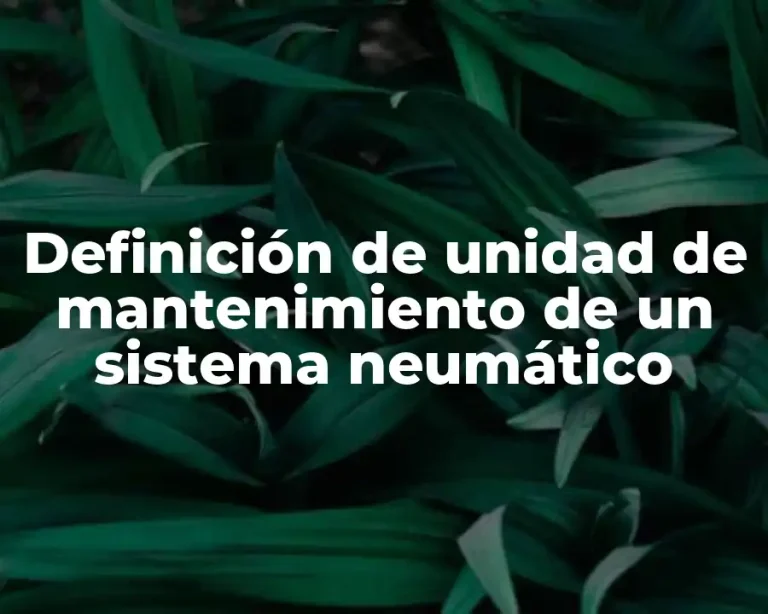 Definición de unidad de mantenimiento de un sistema neumático