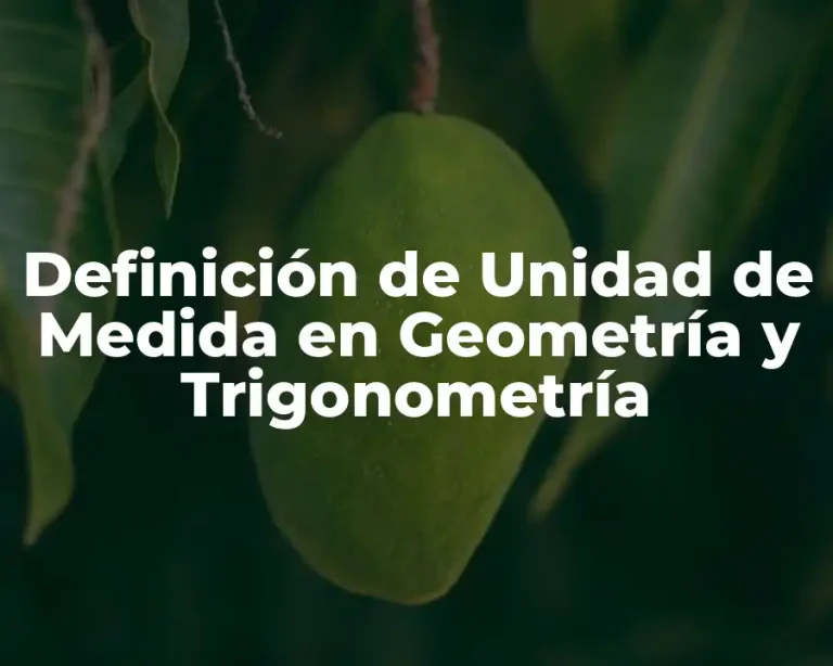 Definición de Unidad de Medida en Geometría y Trigonometría
