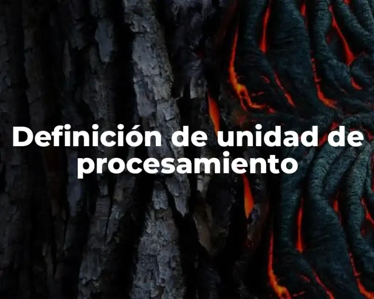 Definición de unidad de procesamiento