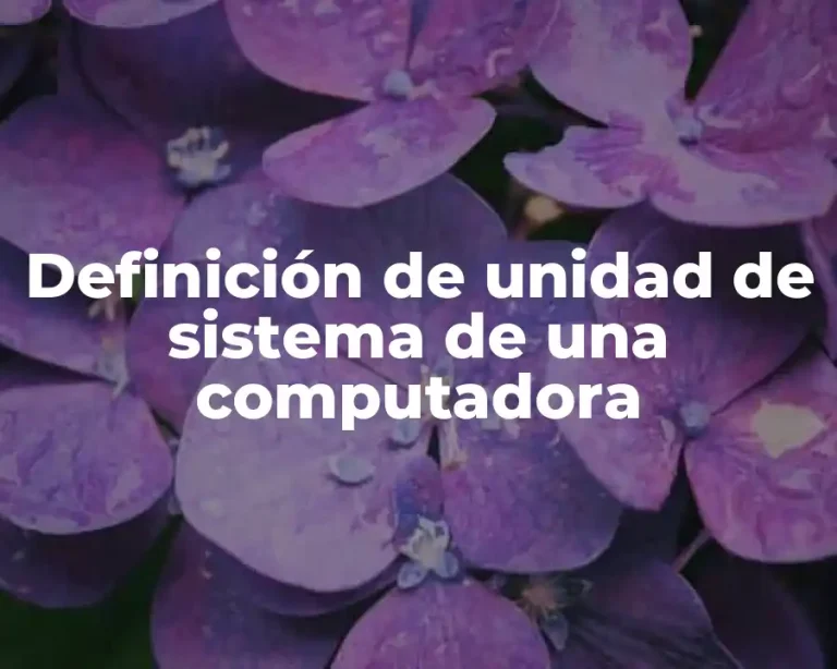 Definición de unidad de sistema de una computadora