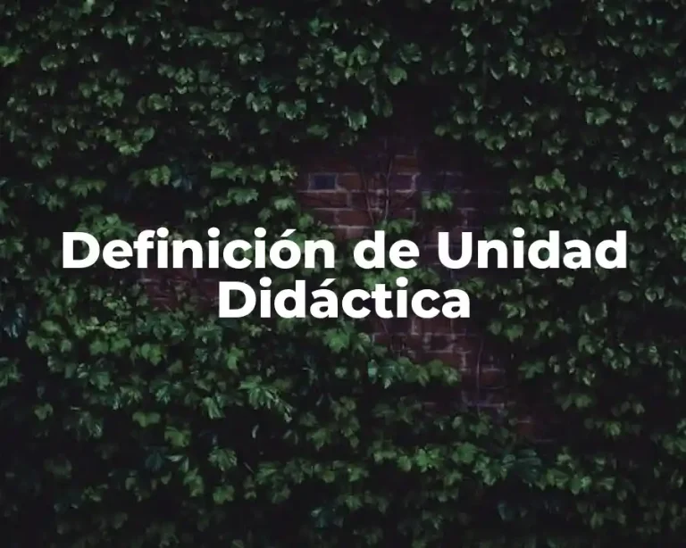 Definición de Unidad Didáctica