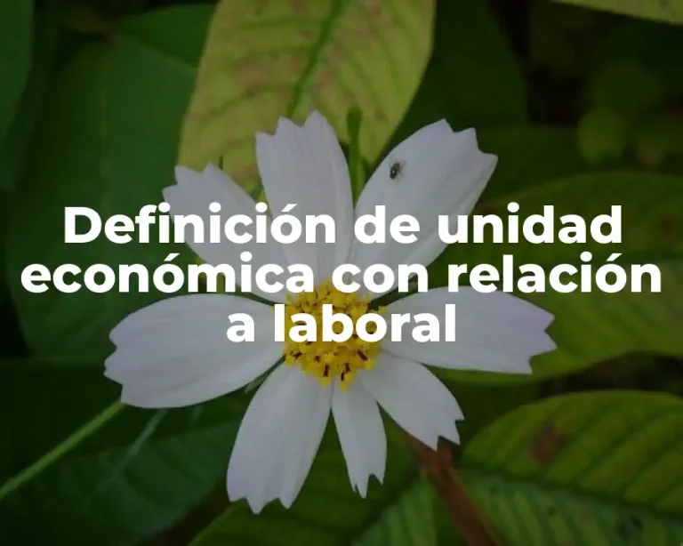 Definición de unidad económica con relación a laboral