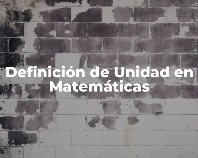 Definición de Unidad en Matemáticas