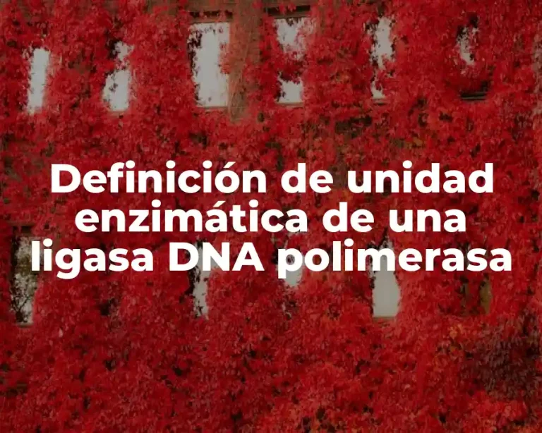 Definición de unidad enzimática de una ligasa DNA polimerasa