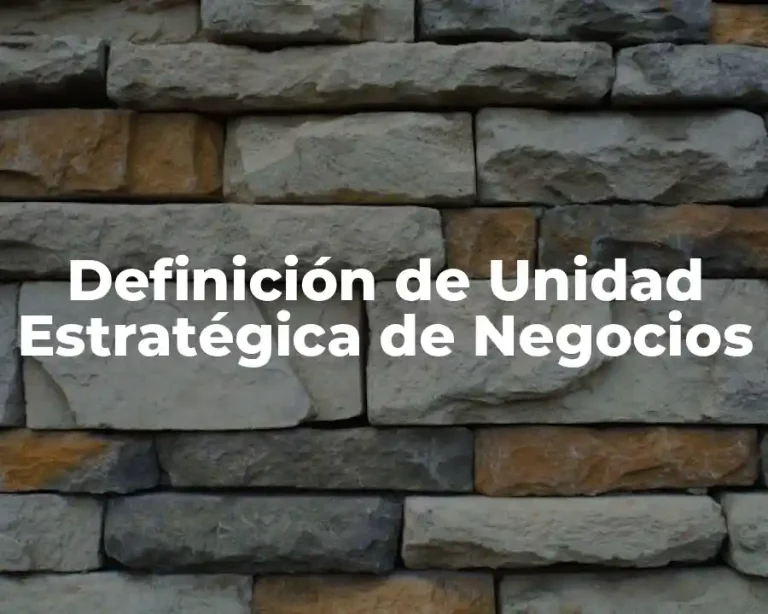 Definición de Unidad Estratégica de Negocios