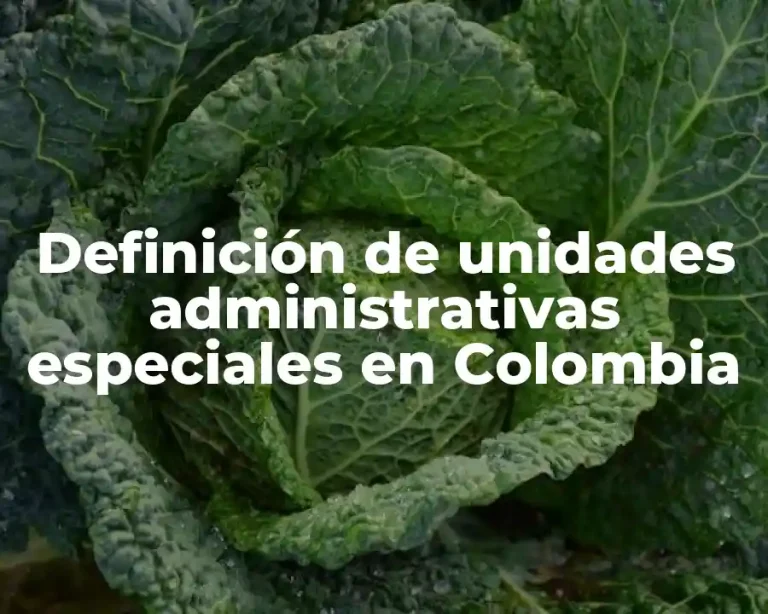 Definición de unidades administrativas especiales en Colombia