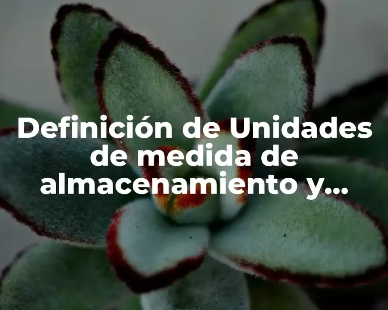 Definición de Unidades de medida de almacenamiento y procesamiento