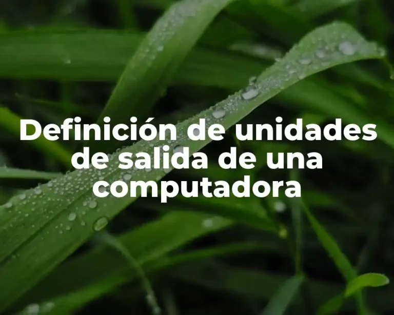 Definición de unidades de salida de una computadora