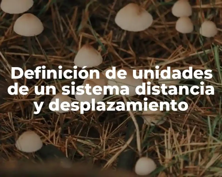 Definición de unidades de un sistema distancia y desplazamiento