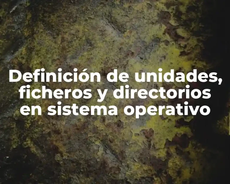 Definición de unidades, ficheros y directorios en sistema operativo