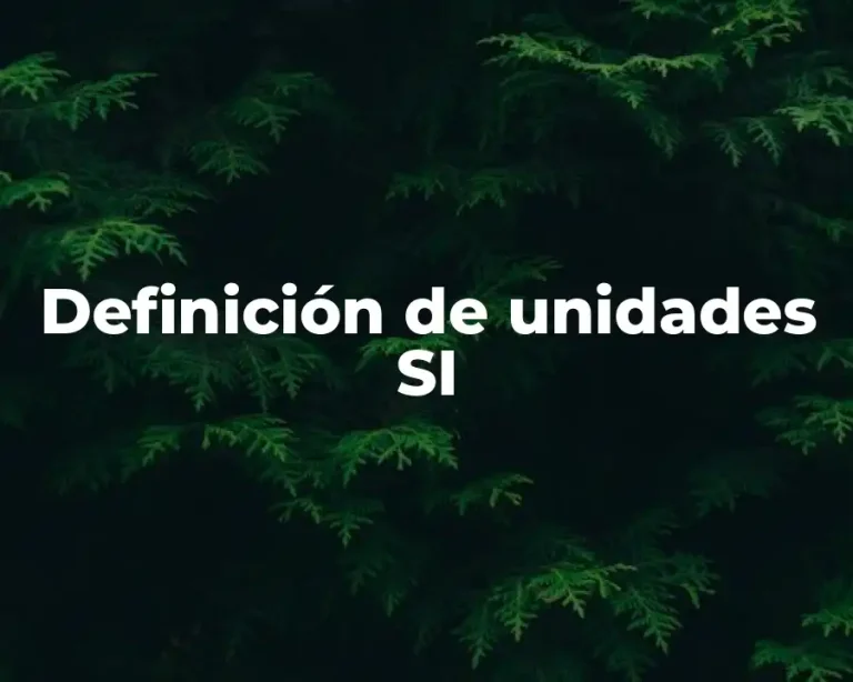 Definición de unidades SI