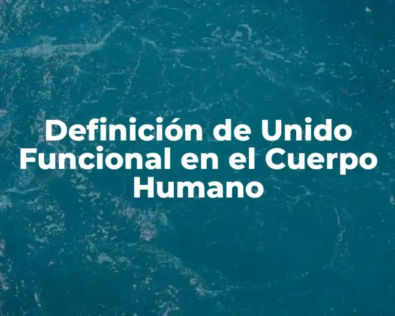 Definición de Unido Funcional en el Cuerpo Humano
