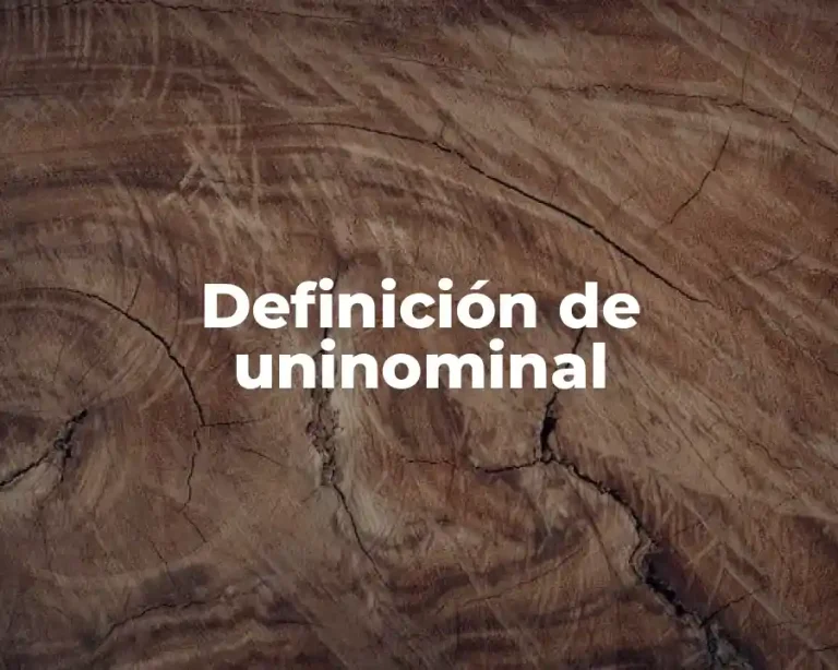 Definición de uninominal