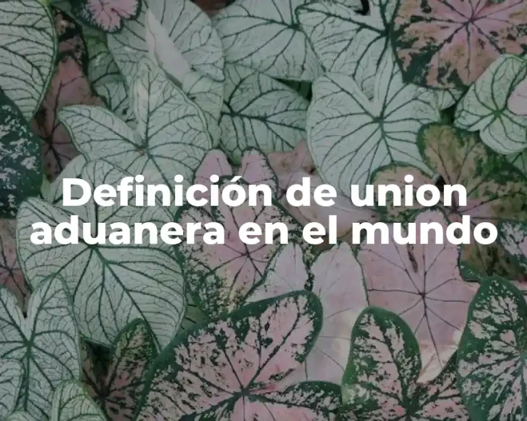 Definición de union aduanera en el mundo