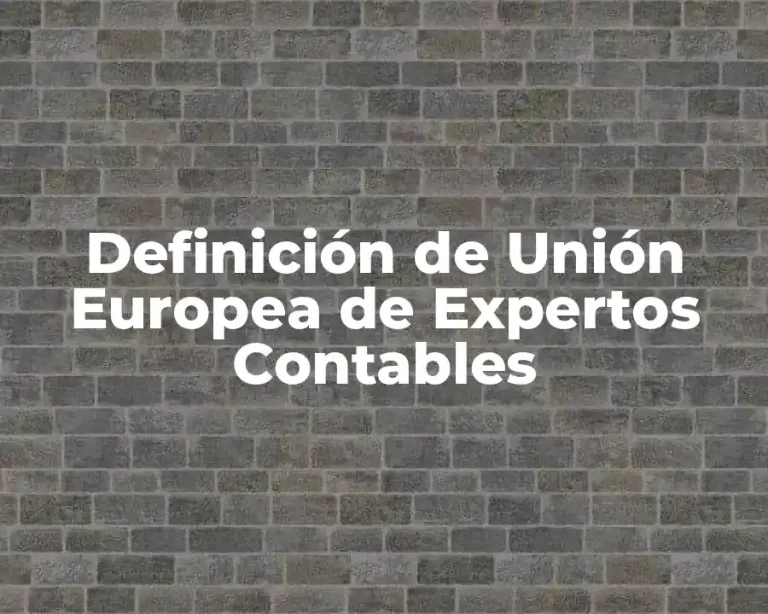 Definición de Unión Europea de Expertos Contables