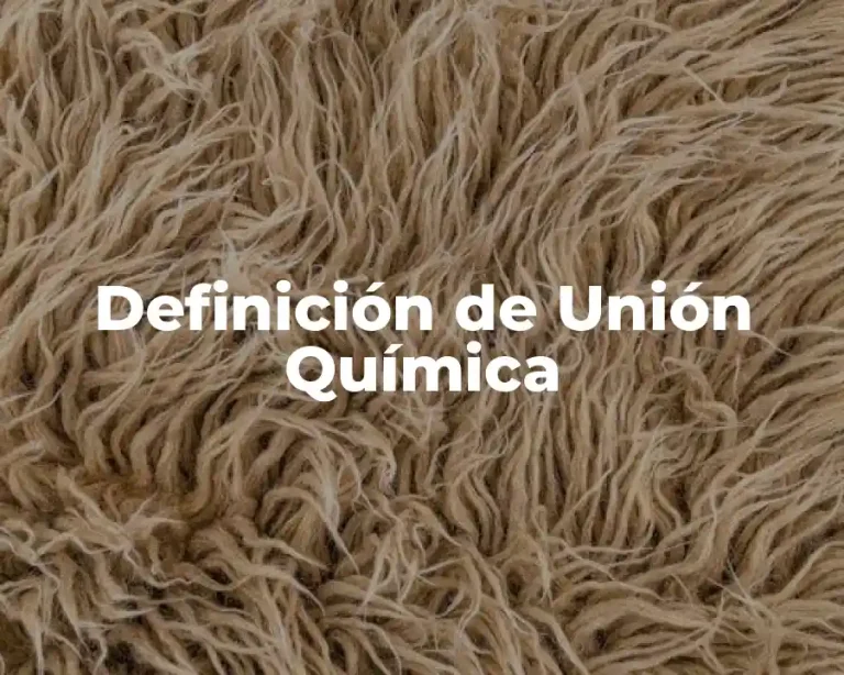 Definición de Unión Química