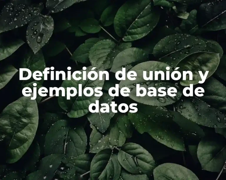 Definición de unión y ejemplos de base de datos