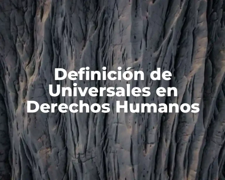 Definición de Universales en Derechos Humanos