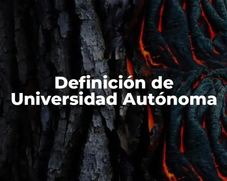 Definición de Universidad Autónoma
